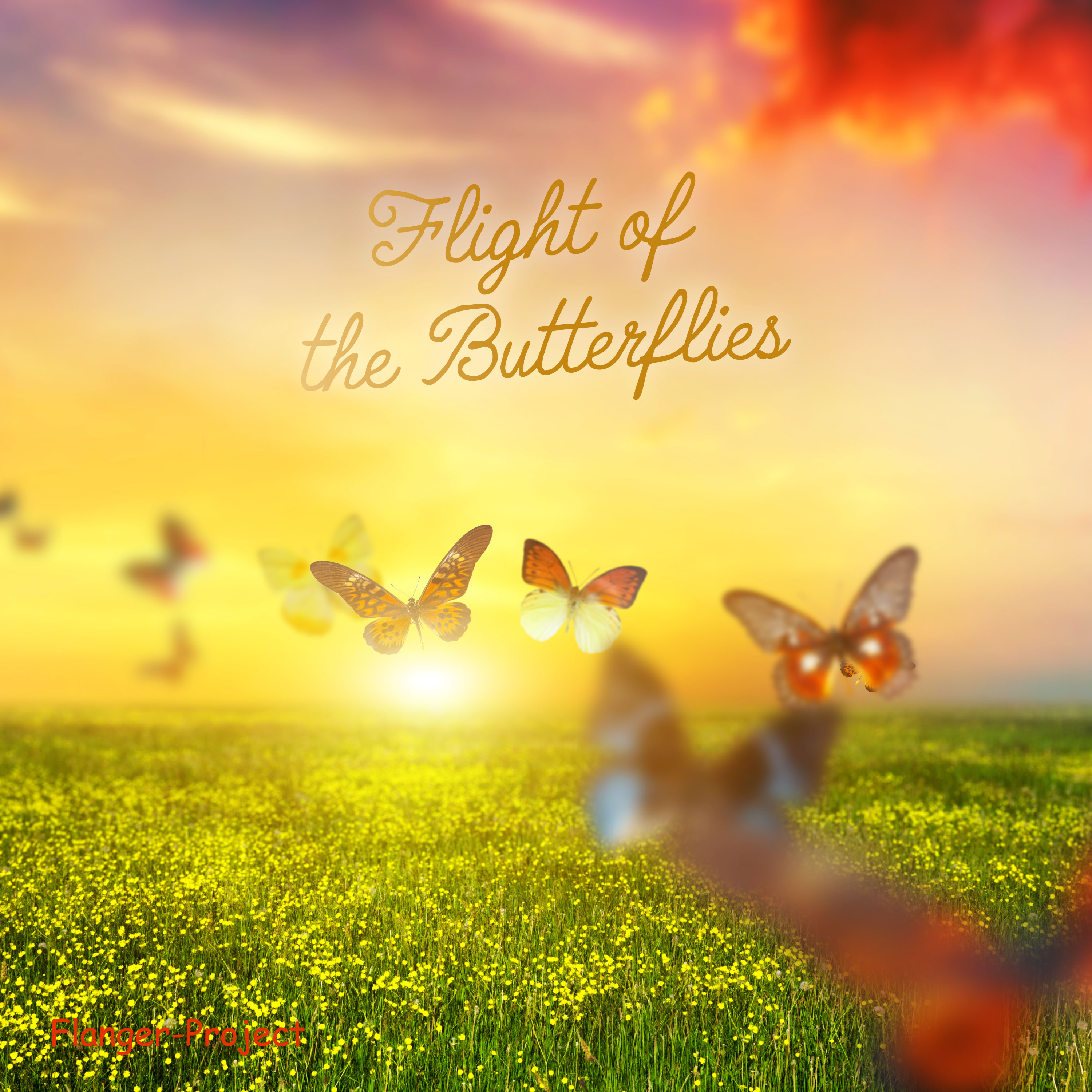 Flight of the Butterflies
maxi single
Release late-summer 2018